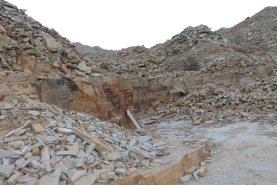 Фото Управления Россельхознадзора по Хакасии и Туве